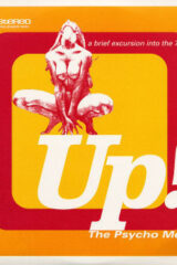 Up! The Psycho Mellow (CD)