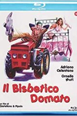 Bisbetico domato, Il (BLU RAY)