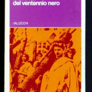 Cinema del Ventennio Nero, Il