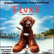 Fluke (CD)