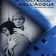 Coltello nell'acqua, Il