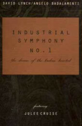 David Lynch: Industrial Symphony n.1 / The dream of the broken hearted (VHS)