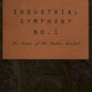 David Lynch: Industrial Symphony n.1 / The dream of the broken hearted (VHS)
