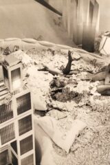 Danger: Diabolik / Diabolik 1968 (FOTO PROMOZIONALE IN B/N 25x20)