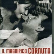 Magnifico cornuto