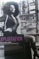 Wanted Blaxploitation - A selection of Funky Soul tracks from the Blaxploitation Era (LP)