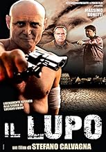 Stefano Calvagna – Il Lupo  (Sceneggiatura + DVD del backstage)