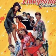 Collection L'insegnante (3 DVD) NUOVO SIGILLATO