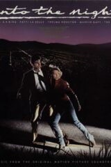 Into the night - Tutto in una notte (LP)