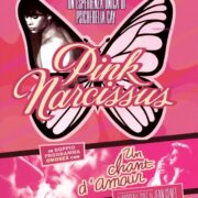 Pink Narcissus / Un Chant D'Amour