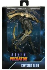 Alien vs Predator - Chrysalis Alien (20cm)