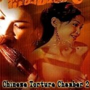 Chinese Torture Chamber 2