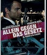 Vero e il falso, Il (IMPORT IN ITALIANO)