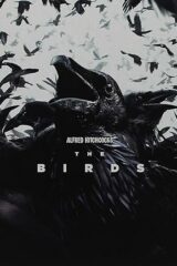 Uccelli, Gli  (Anniversary Steelbook)