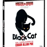 Black Cat (Blu-Ray)