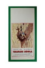 John Belushi - Chiamami aquila (locandina 35x70)