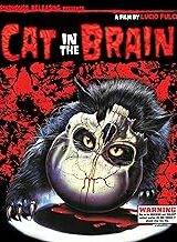 Gatto nel cervello, Un (IMPORT IN ITALIANO 2 BLU RAY + CD SOUNDTRACK)