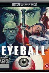 Gatti rossi in un labirinto di vetro (4K UHD)