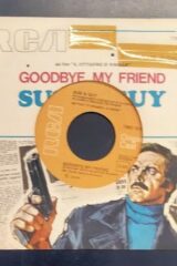 "Goodbye My Friend" / "Driven All Around" da IL CITTADINO SI RIBELLA  (45 giri) COVER FORATA