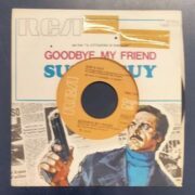 "Goodbye My Friend" / "Driven All Around" da IL CITTADINO SI RIBELLA  (45 giri) COVER FORATA