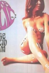 Mood Mosaic - Folkadelic vol. 2 The Acid Jam (CD)