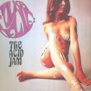 Mood Mosaic - Folkadelic vol. 2 The Acid Jam (CD)