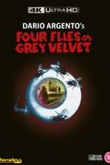 Quattro mosche di velluto grigio (4K UHD)