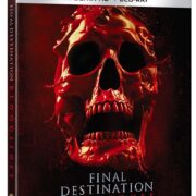 Final Destination: Bloodlines - Steelbook 3 Alt Skull (4K Ultra HD + Blu-Ray)