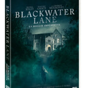 Blackwater Lane - La moglie imperfetta