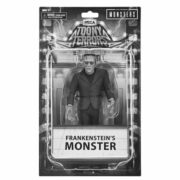 Toony Terrors Universal Monsters: FRANKENSTEIN bianco e nero