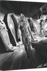 La mummia (1931) Steelbook Edizione Limitata Alex Ross Art (Blu-Ray)