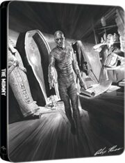 La mummia (1931) Steelbook Edizione Limitata Alex Ross Art (Blu-Ray)