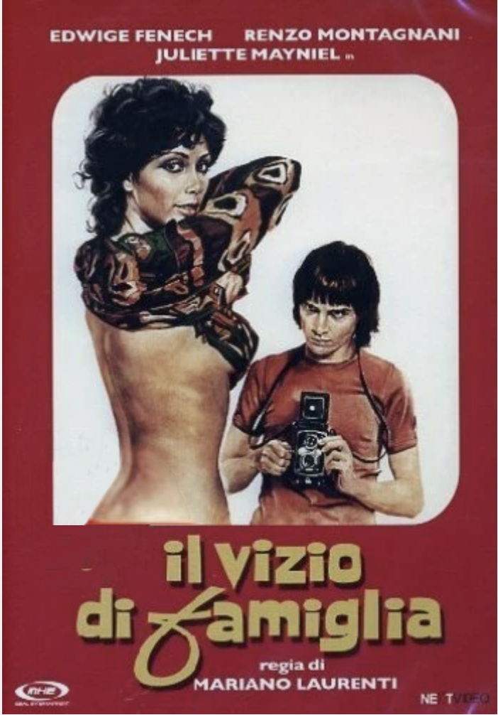 Vizio di famiglia, Il
