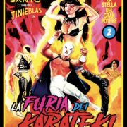 Stella Del Gran Poter 2, La: La Furia Dei Karateki