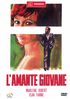Amante giovane, L’